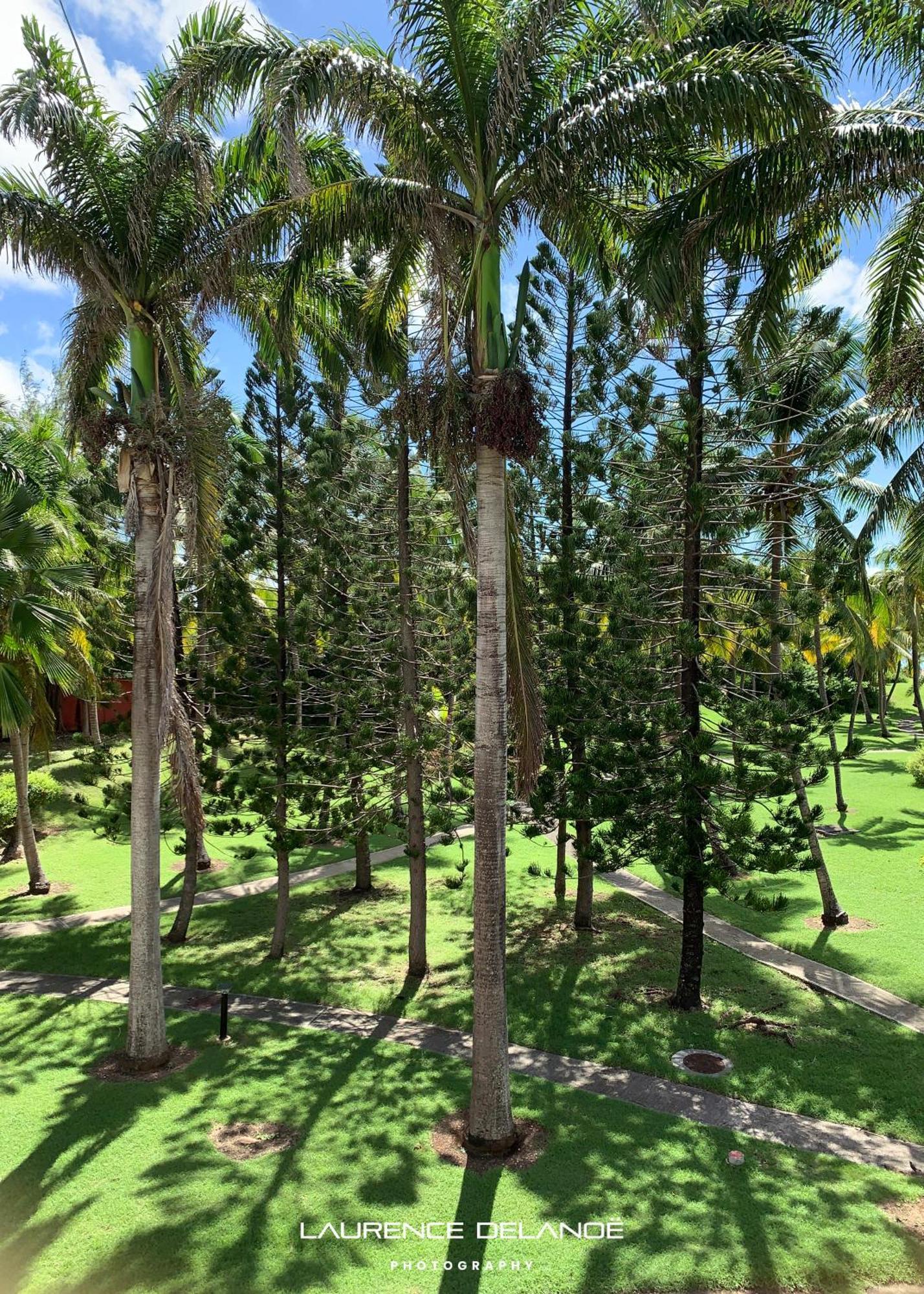 Appartement Varangue, Anse Des Rochers سانت فرانسوا المظهر الخارجي الصورة